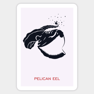 Pelican eel Sticker